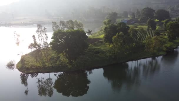 Lush Lake Shore Farmland Sunrise Trimbakeshwar Nashik India Luchtdoeldrone — Stockvideo