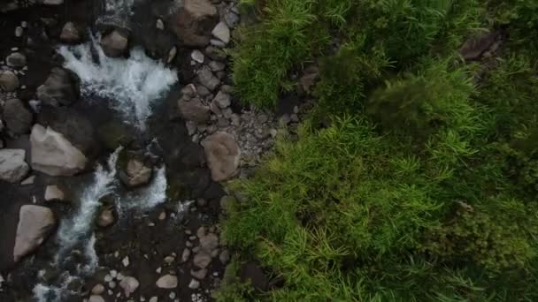 Strumień Rzeki Iao Valley Antena Nad Głową Wznosząca Się Parking — Wideo stockowe