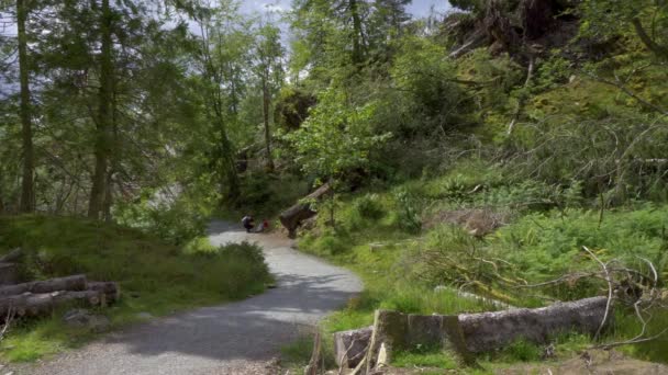 Mulher Criança Descansando Caminho Floresta Cercada Por Árvores Overgrouth — Vídeo de Stock