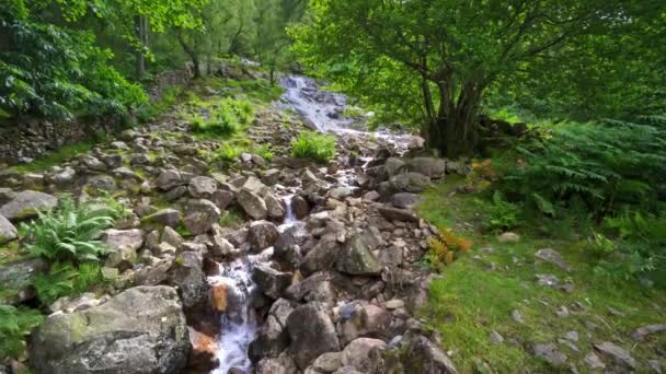 Filmagem Vídeo Majestosa Scale Force Uma Cachoeira Buttermere Lake Maior — Vídeo de Stock