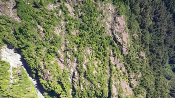 Aerial Top Fly Forward Von Alpine Rock Forest Mackenzie Range — Stockvideo