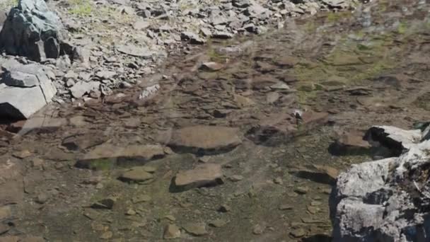 Alpine Still Pond Auf Einem Berggipfel Mackenzie Range Vancouver Island — Stockvideo