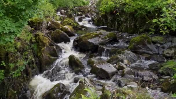 Videofilmer Watendlath Beck Floden Detta Källan Till Lodore Falls Turistattraktion — Stockvideo