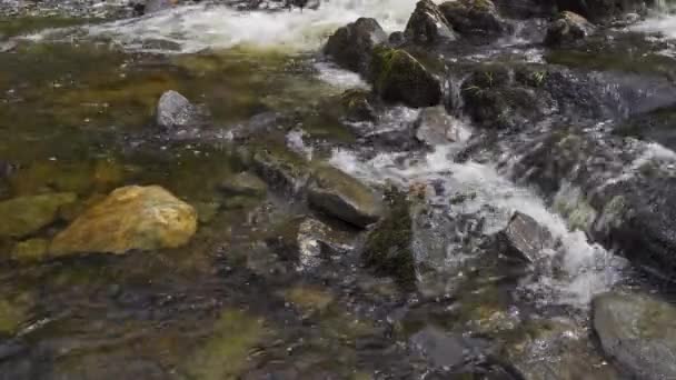 Videofilmer Watendlath Beck Floden Detta Källan Till Lodore Falls Turistattraktion — Stockvideo