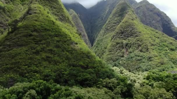 Iao Valley State Park Maui Vuelo Aéreo Que Captura Las — Vídeo de stock