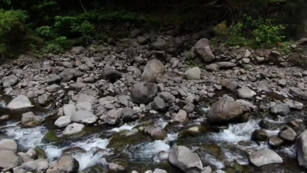 Sungai Wailuku Lembah Iao Air Mengalir Hilir Melalui Batu Sungai — Stok Video