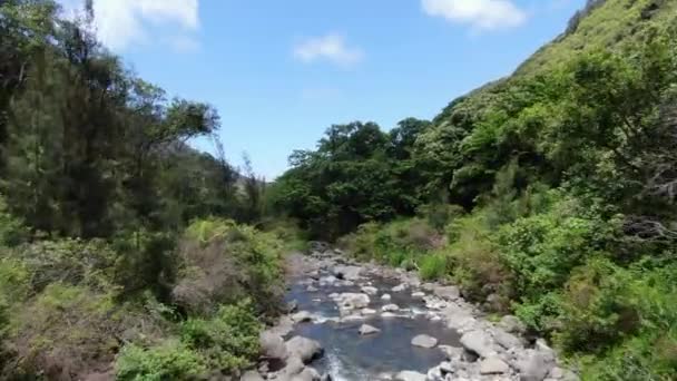 Низколетящий Воздушный Выстрел Отслеживает Быстро Движущийся Речной Поток Долины Мауи — стоковое видео