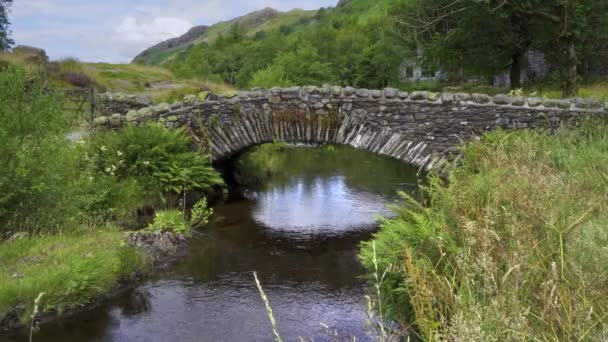 Watendlath Attraktive Stein Packpferdbrücke Sitzt Über Watendlath Beck Dies Ist — Stockvideo