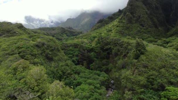 Iao Valley Lucht Vliegen Onthullen Weelderige Groene Regenwoud Rivieren Beken — Stockvideo