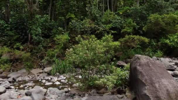 Ściana Koryta Rzeki Iao Valley Widok Ziemi Kamerą Powoli Śledzącą — Wideo stockowe