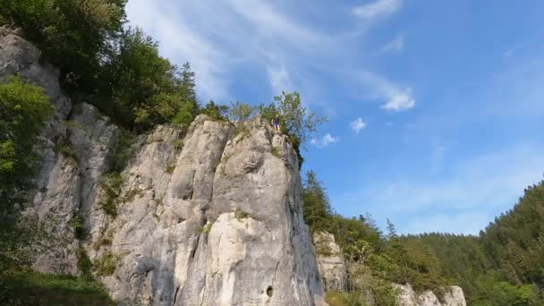 瑞士杜伯斯河上 一个年轻的人从高高的岩石峭壁跳入水中 — 图库视频影像