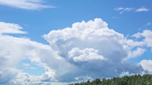 Tijdsverloop Van Dichte Wolken Die Verschillende Manieren Bewegen Een Levendige — Stockvideo