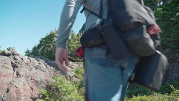 Hiker Walking Alpine Forest Meadow Mackenzie Range Vancouver Island Kanada — Stock video