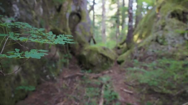 Wanderer Entfernt Sich Von Der Kamera Zwischen Felsen Hintergrund Mackenzie — Stockvideo