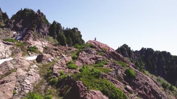 Lotnicza Rotacja Wokół Turysty Szczycie Mackenzie Range Vancouver Island Kanada — Wideo stockowe