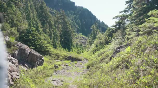 Hiker Walking Away Camera Alpine Mountain Meadow Mackenzie Range Vancouver — Wideo stockowe