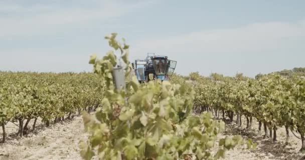 Blue Grape Harvester Werken Wijngaarden Spanje Een Winderige Dag Slow — Stockvideo