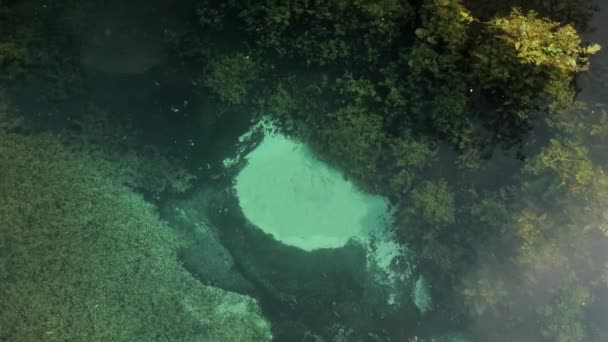 Grundwasser Versickert Beim Quellwasser Blakilde Dänemark Hoher Winkel — Stockvideo