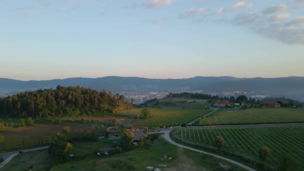 Захід Сонця Винограднику Півночі Португалії — стокове відео