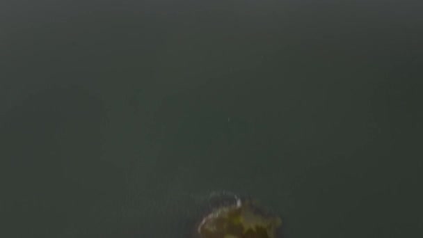 Widok Lotu Ptaka Słone Bagna Hempstead Nowym Jorku Pochmurny Dzień — Wideo stockowe
