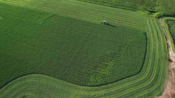 Door County Farmář Traktoru John Deere Odřízl Koncem Srpna Pole — Stock video