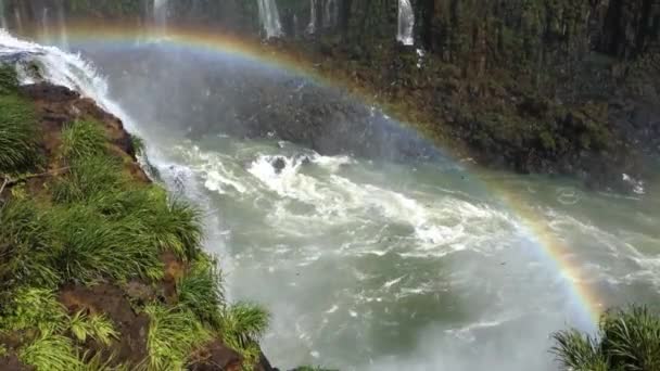 Flock Swallows Fly Rapids River Canyon Rainbow Background High Angle — Stock Video