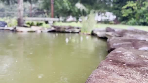 Back Yard Pond Podczas Burzy Deszczowej — Wideo stockowe