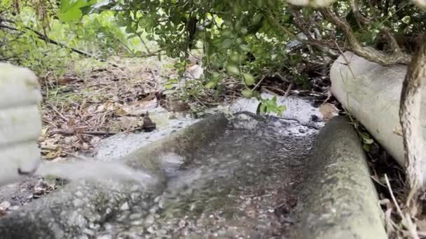 Gutter Hård Sommar Regn Storm Clemmons — Stockvideo