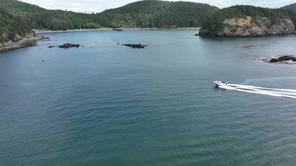Aerial View High Speed Motorboat Jetting Bowman Bay Deception Pass — Stock Video