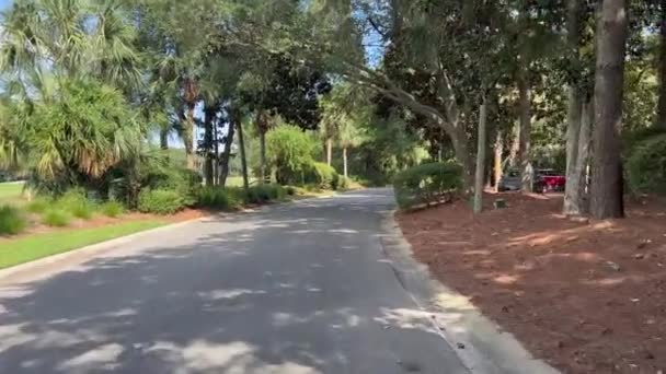 Kiawah Island Jižní Karolína Jet Silnici Palmami Duby — Stock video