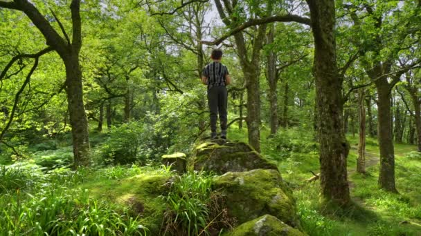 바위와 나무에둘러 삼림의 근처에 커다란 밭에서 — 비디오