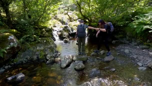 Women Child Mother Son Crossing Small Woodland Stream Surrounded Trees — Stock Video