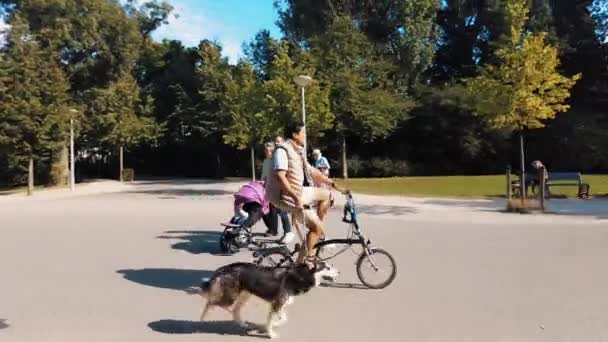 Vondel Parkı Nda Bisiklete Binen Bir Adam Tasmalı Bir Köpekle — Stok video