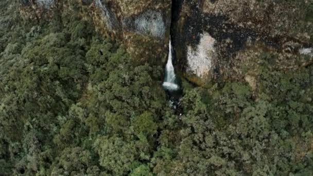 エクアドル ナポのカヤンベ コーラ生態保護区の緑豊かな森に流れる滝の空中ビュー — ストック動画