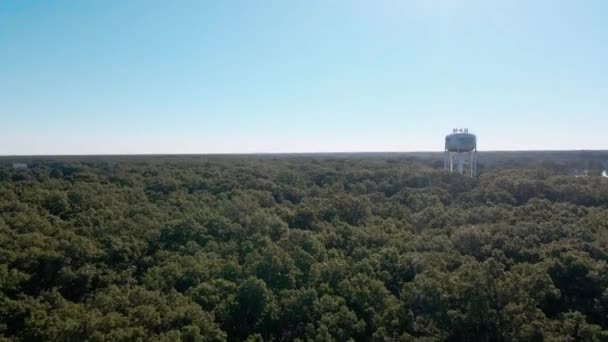 Svěží Vrcholky Stromů Nad Muškegonskými Výšinami — Stock video