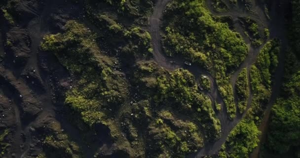 Danos Ambientais Das Actividades Mineiras Com Árvores Florestais Destruídas Desmatamento — Vídeo de Stock