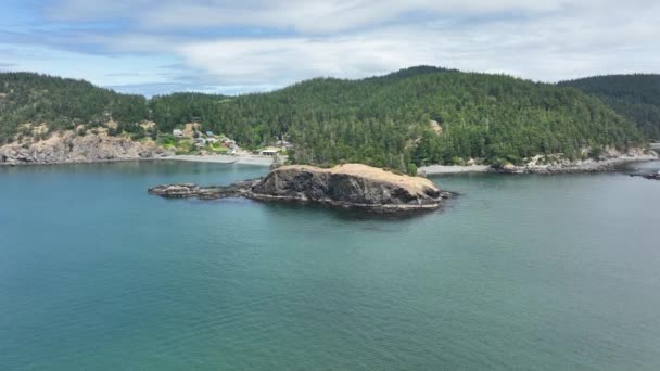 Vue Aérienne Montante Côte Bordée Arbres État Washington — Video