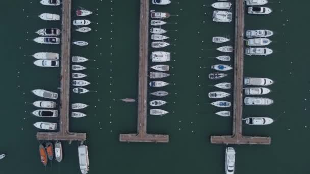 Rader Båtar Förtöjda Hamnen Punta Del Este Uruguay Uppifrån Och — Stockvideo