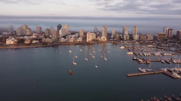 Båtar Förtöjda Hamn Med Punta Del Este Stad Bakgrunden Vid — Stockvideo