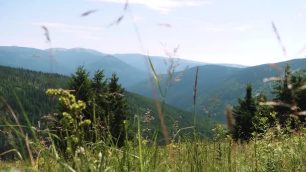 Panorama Van Het Karkonosze Gebergte Een Zonnige Dag Tsjechië Breed — Stockvideo