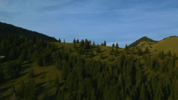 Bawarskie Austriackie Alpy Wendelsteina Szczyty Górskie Romantycznymi Idyllicznymi Zielonymi Łąkami — Wideo stockowe