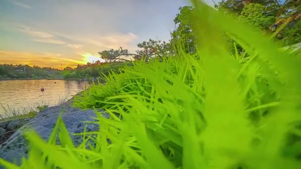 Timelapse Shot Cloud Movement Lake Surrounded Dense Vegetation Evening Time — Stock Video