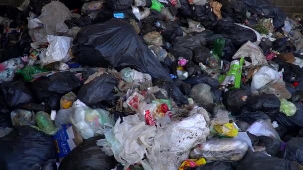 リサイクルのために処理する前に 廃棄物処理工場の外に積み上げられた廃棄物 中に入って スローモーション — ストック動画