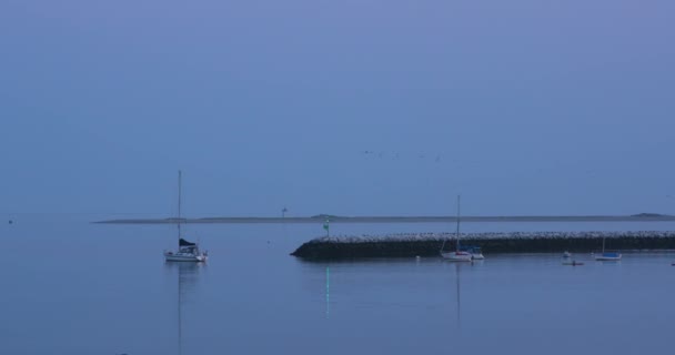 Suggerimento Cape Cod Long Point Light Station Waterway — Video Stock