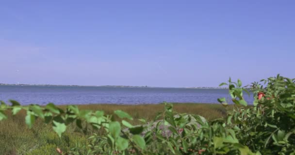 Vue Rivière Merrimack Rencontre Océan — Video