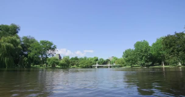 Λίμνη Στο Δημόσιο Κήπο Της Βοστώνης — Αρχείο Βίντεο