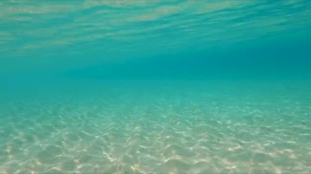 Açık Mavi Okyanusta Kumlu Tabanı Işıldayan Işığı Ile Suyun Altında — Stok video