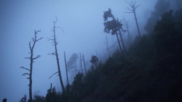 Hátborzongató Egy Vulkán Felhőjében Sétálni — Stock videók