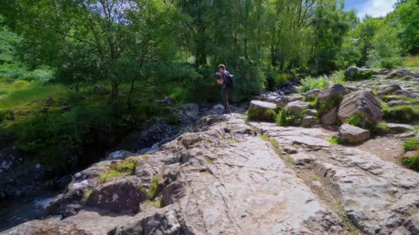 Ein Kleiner Junge Fotografiert Einen Langsam Fließenden Waldbach Mit Farnen — Stockvideo