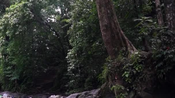 Corda Saltare Acqua Sta Oscillando Verso Fiume Chiamato Salto Costa — Video Stock